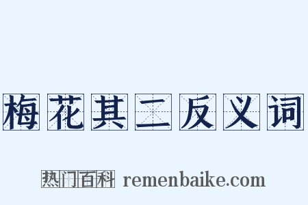 梅花其二反义词是什么意思的图片
